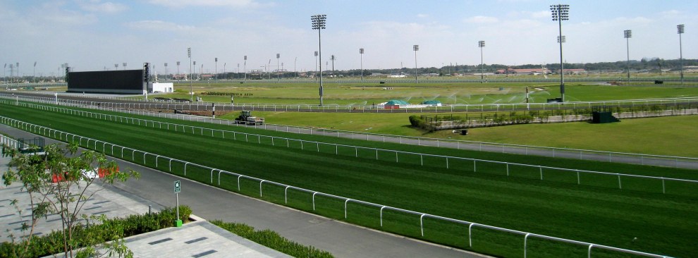 Horse & Carriage banner 6