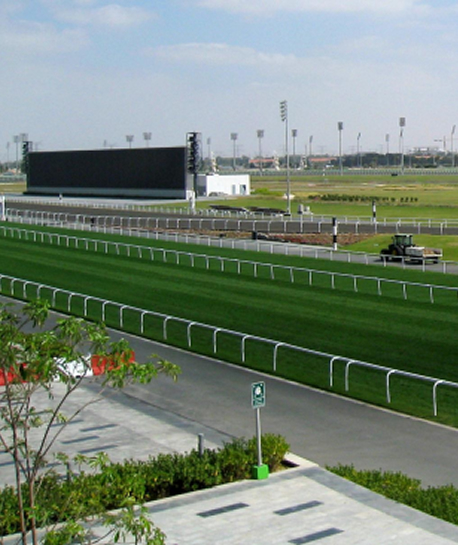 Race Railing