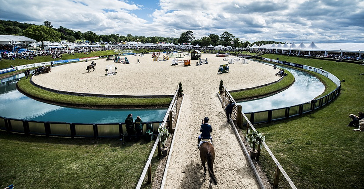 Synthetic Riding Surfaces