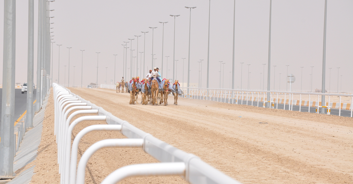 camel-track-race-railing1.jpg