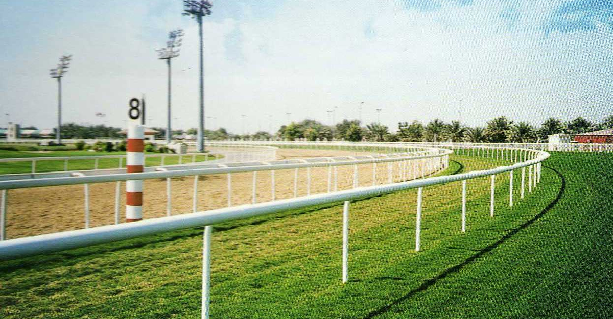 horse-track-race-railing1.jpg